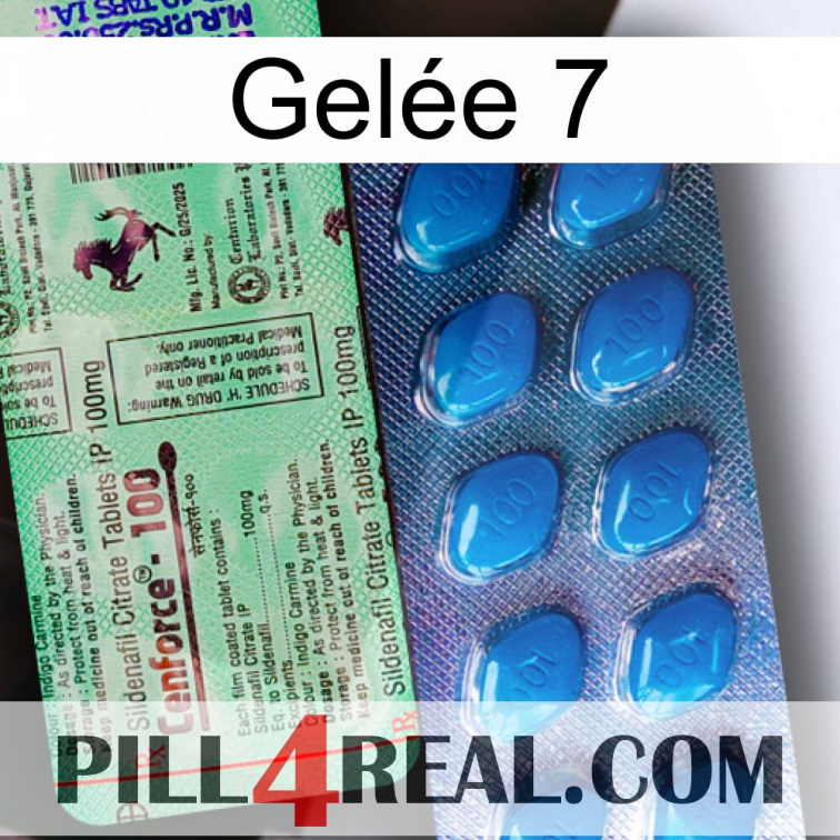 Gelée 7 new02